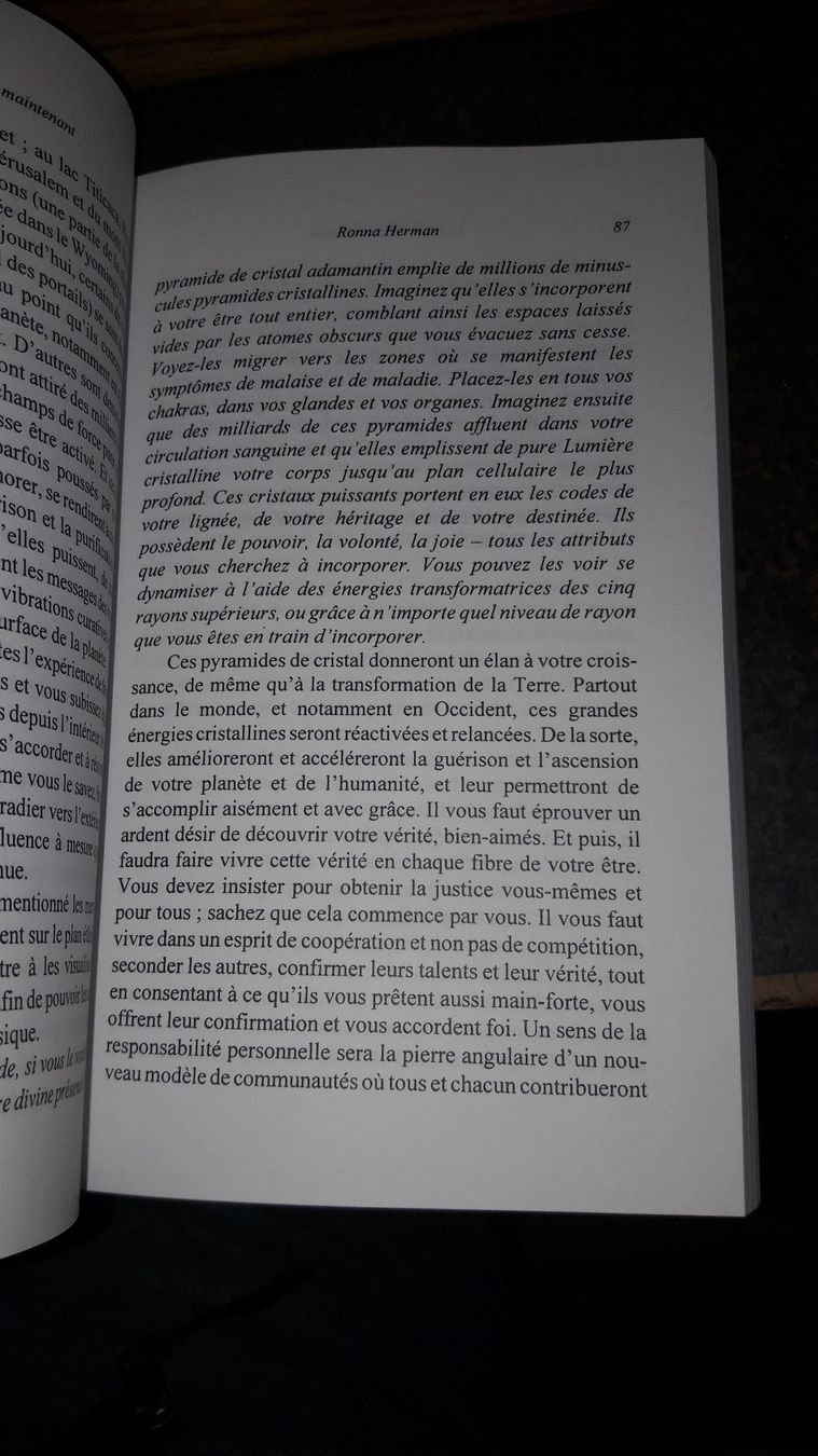 Libri: Le futur est maintenant, tome 2 – Usato da Laufen venduto da Mann455 1