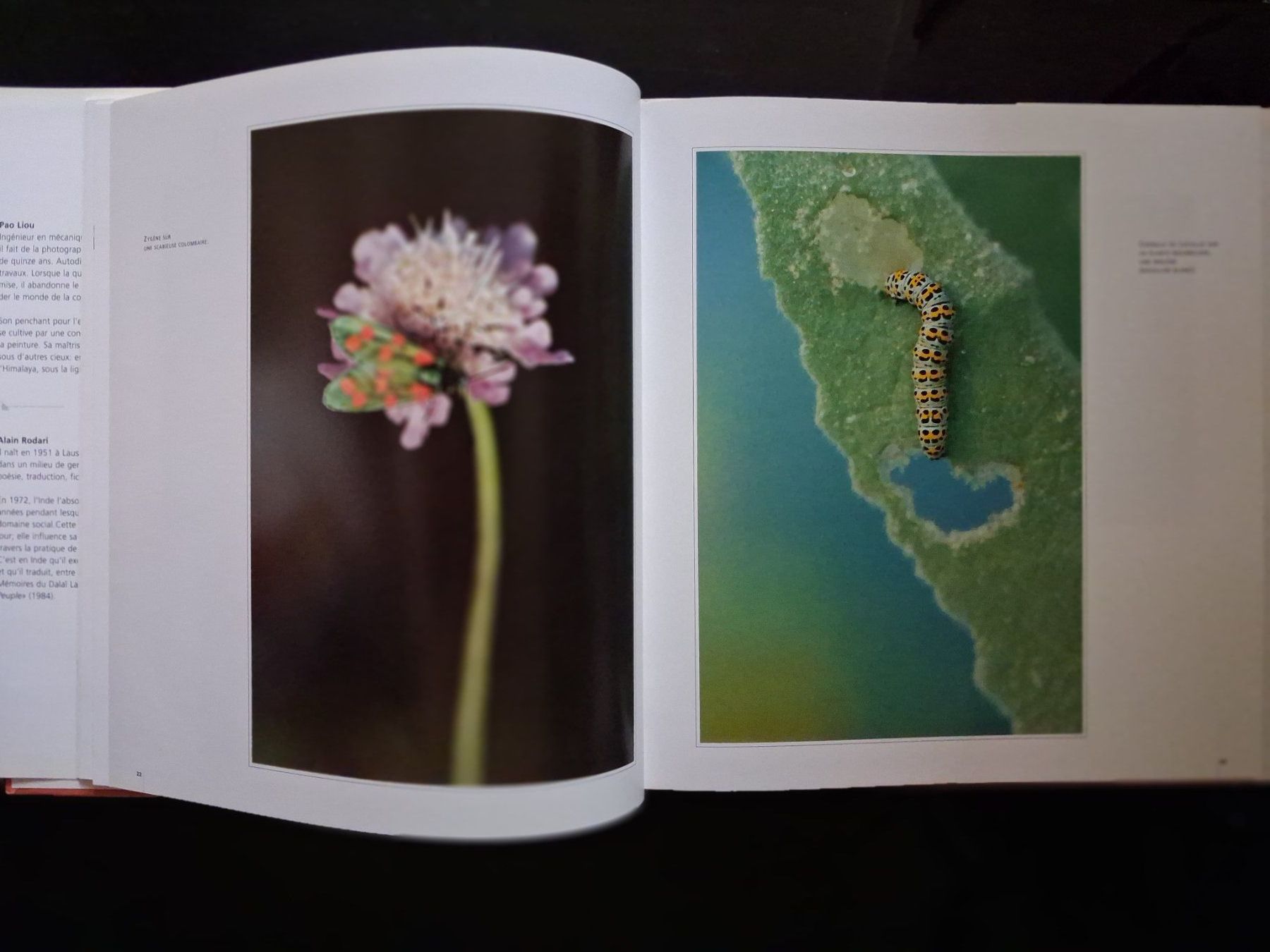 Bücher: NATURE Genève -Moulin-de-Vert, Réserve naturelle - 1995 - EO – Gebraucht aus Cartigny von pgc_fk9s 3
