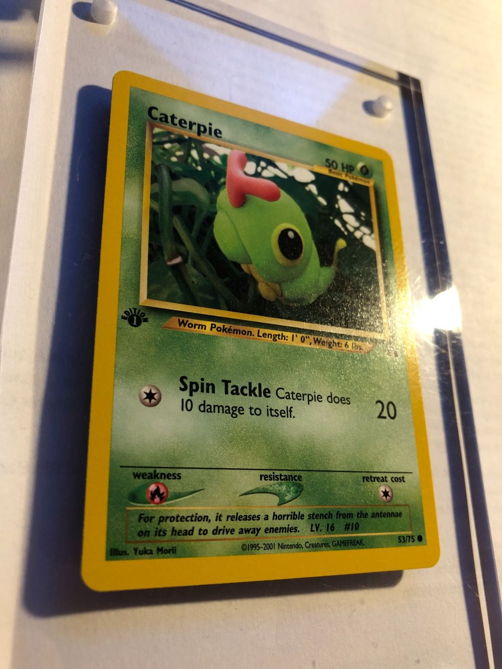 Sammelbilder & Trading cards: Caterpie 1st Neo Discovery - MINT - ab 1.- – Gebraucht aus Giubiasco von dan_pr8b 1