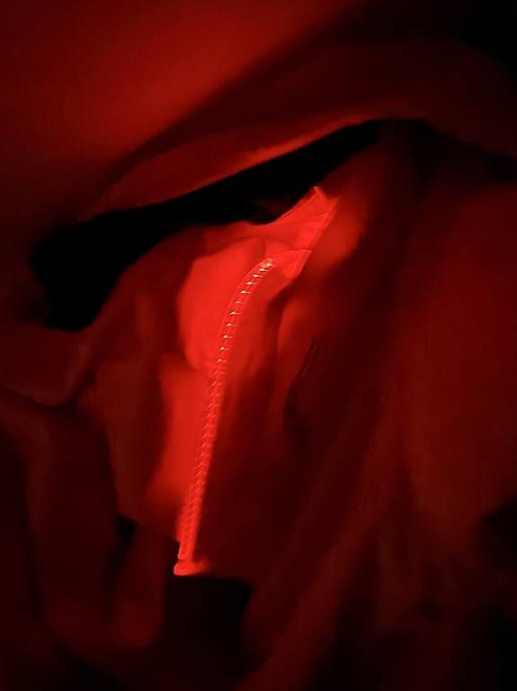 Vestes: Saucony Jacke Herren L Neu  – D'occasion à Buchberg par the_w8gy 3