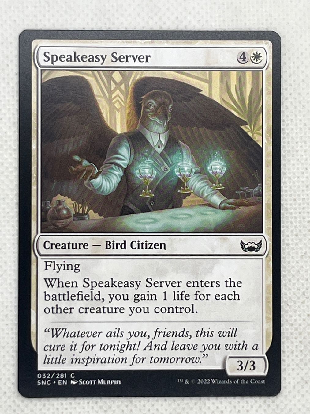 Magic The Gathering Carte collezionabili: Speakeasy Server Magic the Gathering Karte – Usato da Hinterkappelen venduto da Kim1992