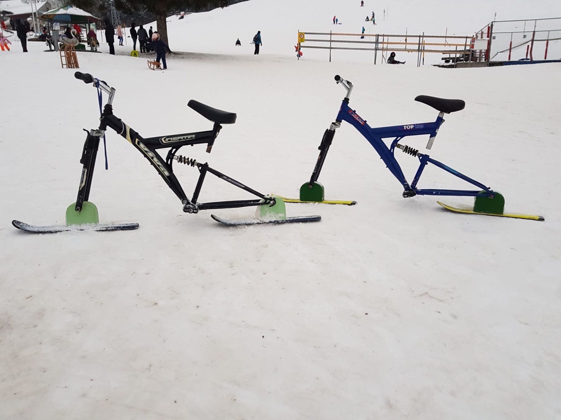 Altro: Ski-Bike‘s – Usato da Winterthur venduto da ale_9wl9