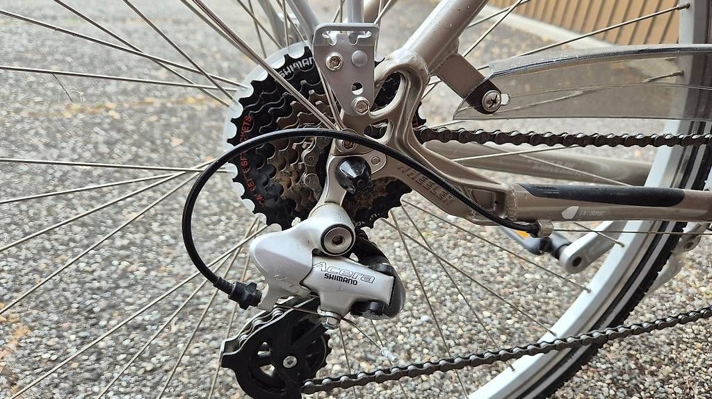 Biciclette: Vélo homme WHEELER 52cm – Usato da bernex venduto da fabriceznn 3