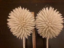 weisse stachelkugeln soft