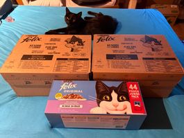 FELIX 2x120 Stk à 85 g 1x44 Stk à 85 g IN GELEE 284 BEUTEL