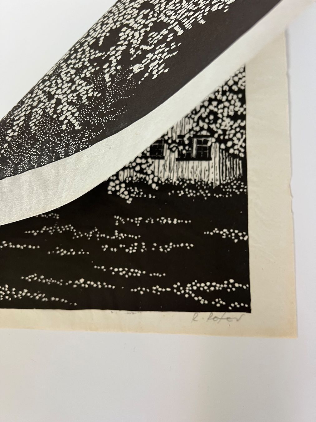 Arts picturaux & lithographies: Ruedi Peter, handsigniert – D'occasion à Rain par Pic-Ass 3