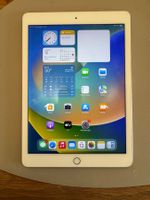 iPad Pro 9.7Zoll