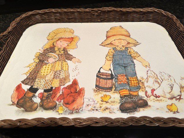 Plateaux: +  SaRaH KaY  +          SeRvieRtabLeT – D'occasion à Winkel par zeho 1