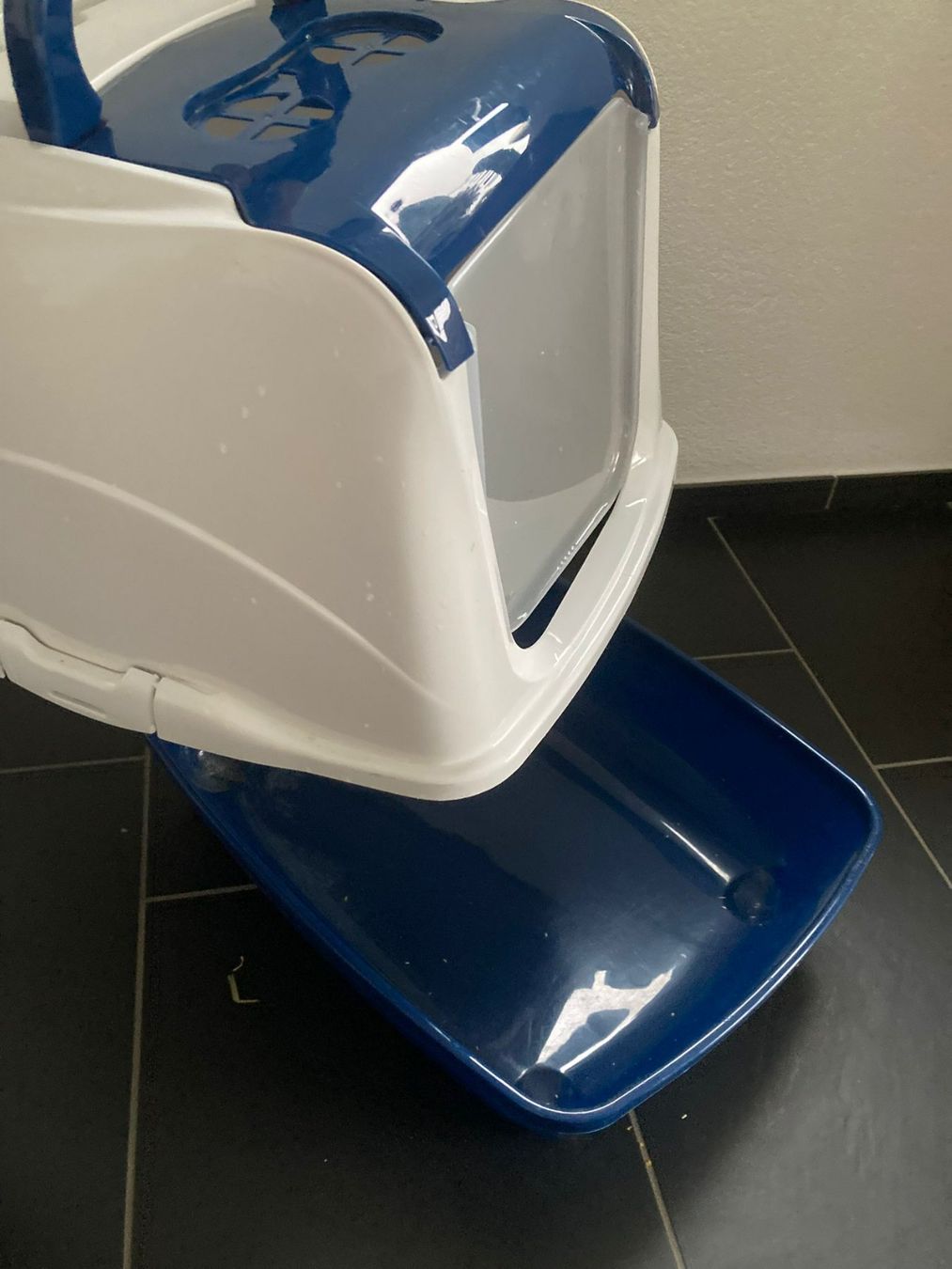 Cucce & Letti: Tiertransportbox – Usato da Dottikon venduto da Wolf83 4