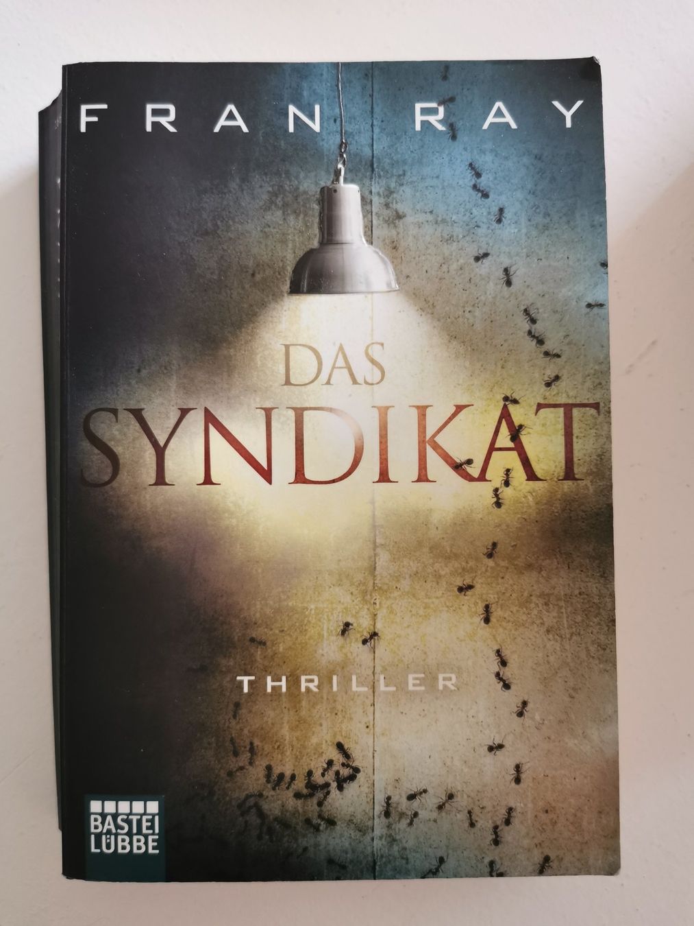 Livres: Krimi/Thriller - 5 Bücher - 5 Franken – D'occasion à bern par jeannie2006