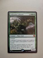 Magic the Gathering: Cultivator Colossus