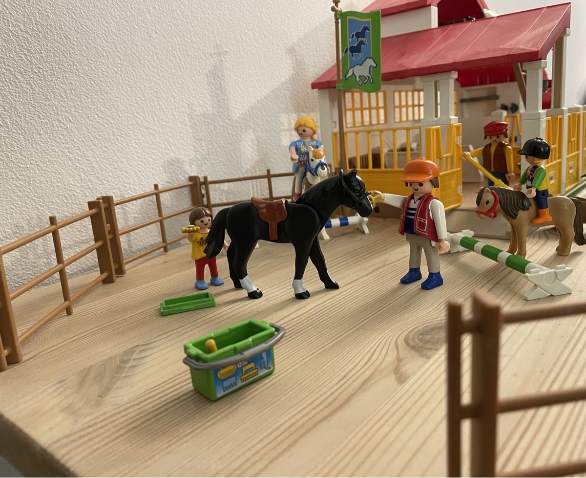 Playmobil Giocattoli: Playmobil Reiterhof – Usato da Chur venduto da Tsambiko 7