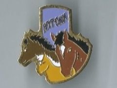 Placchette & Badge: Pferde Pin – Usato da Zürich venduto da t24_de