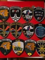 12 Abzeichen Armée Badge Divers Tenue A