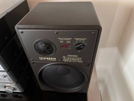 Telefunken TLX 11 Professional Lautsprecher, Top Zustand!!!