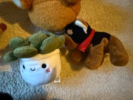 Lot de 5 peluches variées, parfaites pour les enfants!