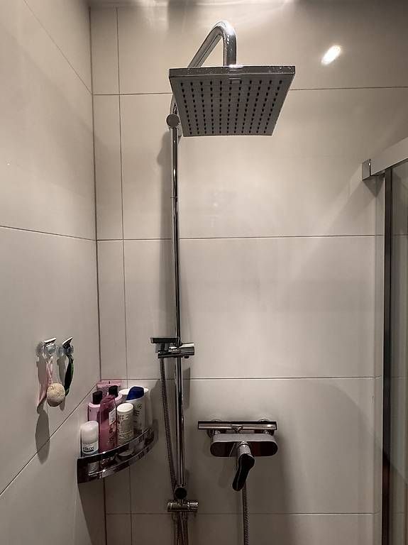 Docce: diaqua Regendusche / Duschsystem Janus – Usato da Kreuzlingen venduto da adhpower0709 1