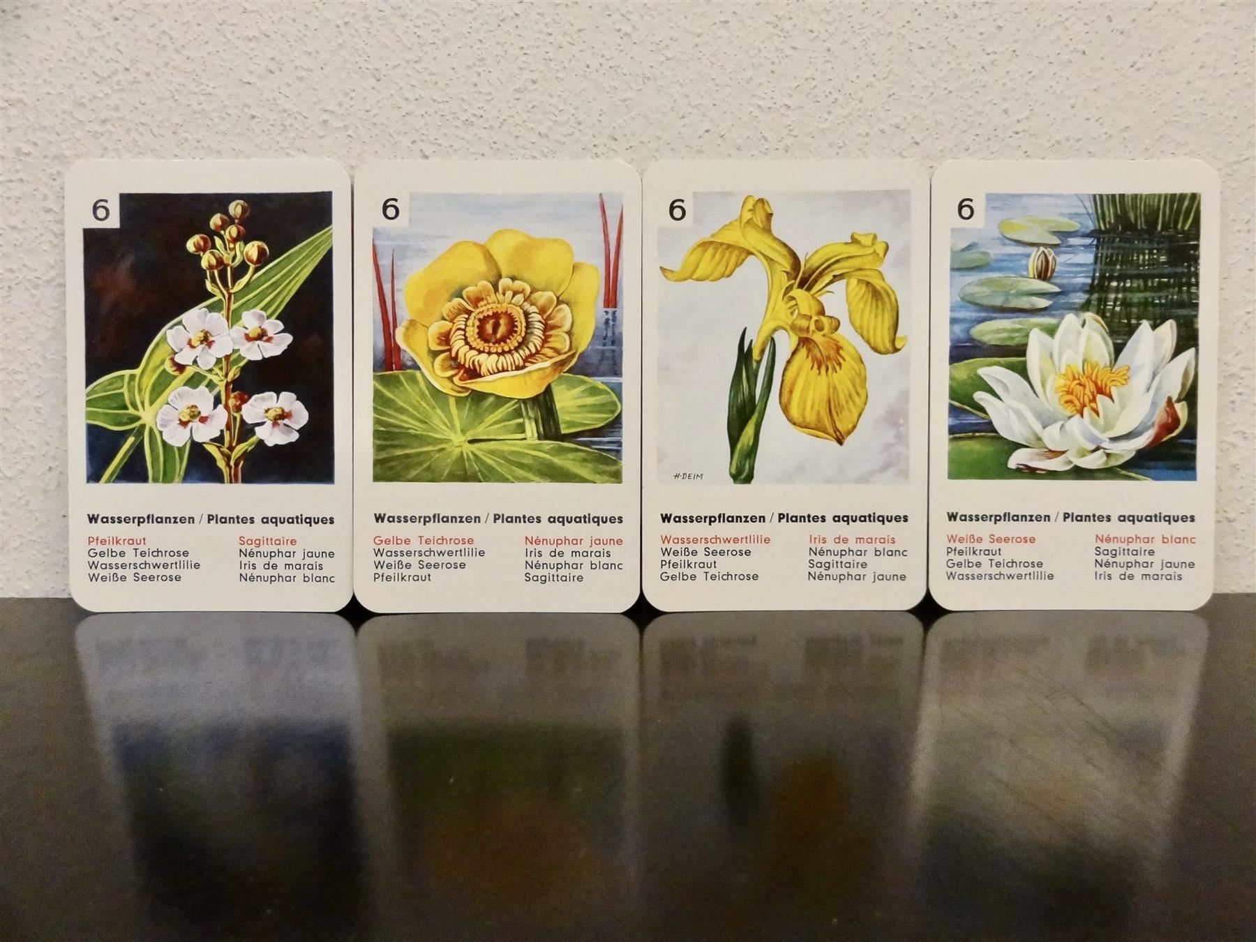 Giochi: altes Quartett BLUMEN-QUARTETT BLUMEN – Usato da Kerzers venduto da wisaundso 6