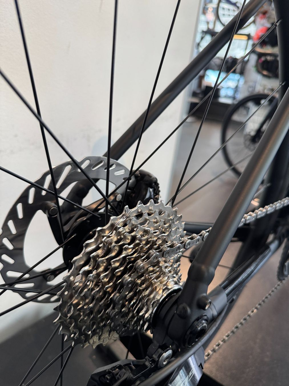 Trek Velos: TREK Domane AL 5 Gen 4, Grösse 54cm – Neu und originalverpackt aus Zürich von Velofabrik01 3