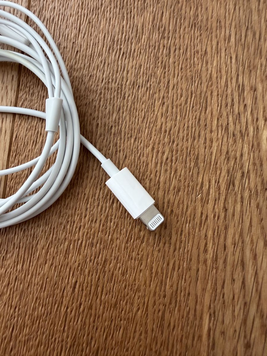 Apple Cuffie: Apple - Earpods Lightning – Usato da Interlaken venduto da fbnscl 2