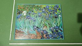 Kunstdruck nach Van Gogh «Irises»