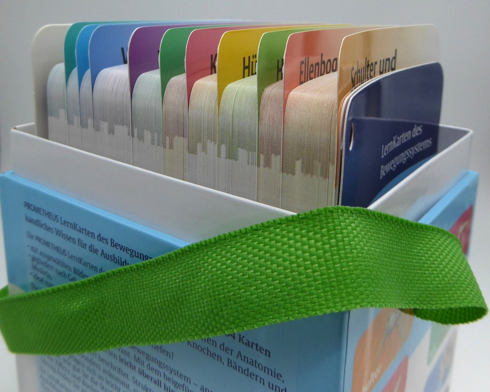 Altro materiale scolastico: PROMETHEUS LernKarten der Anatomie / des Bewegungsystems – Nuovo (secondo la descrizione) da Volketswil venduto da brockipfannenstil 5