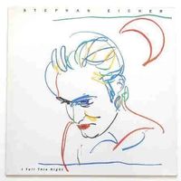 STEPHAN EICHER - I Tell The Night  (LP)