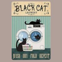 🔥 BLACK CAT LAUNDRY Katzen Blechschild 💙 20x30cm OVP 🔥
