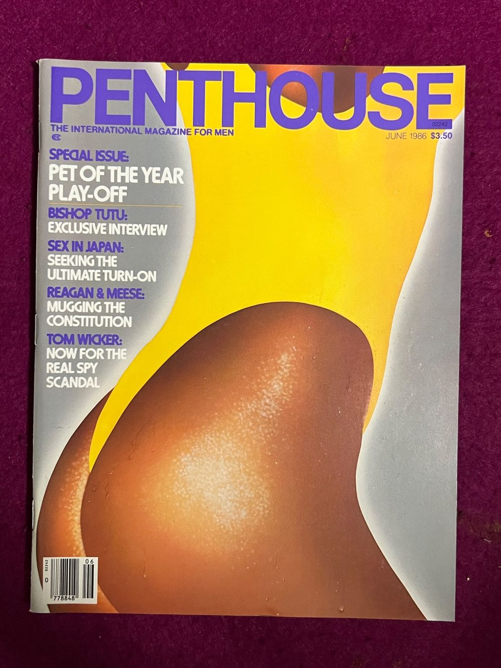 Riviste & Magazine: PENTHOUSE (c) US original Ausgabe – Usato da Uster venduto da Mr.Twister