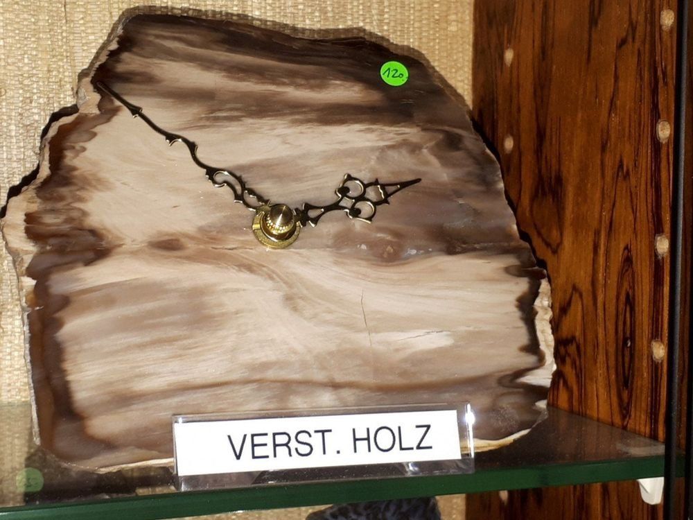 Fossili: Steinuhr Versteinertes Holz – Nuovo (secondo la descrizione) da Buttikon SZ venduto da dew_fb5l