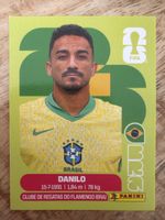 Panini BRA 7