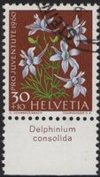 30 Rp. Rittersporn mit TAB (Delphinium consolida)