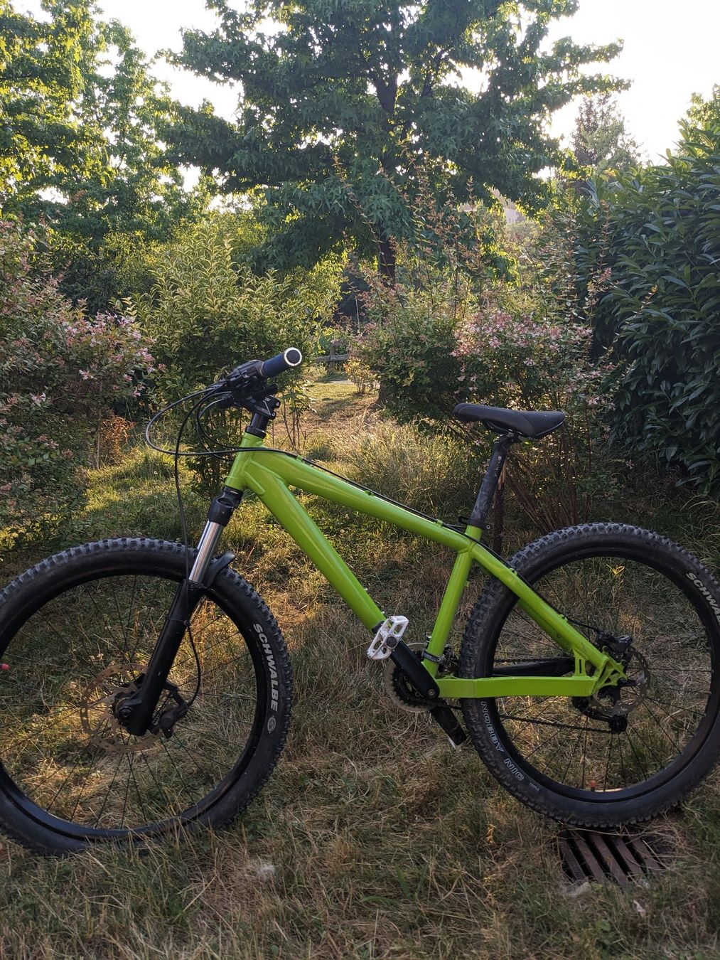 Biciclette: Velo VTT Hood Cycle – Usato da Pully venduto da dar_6bcx