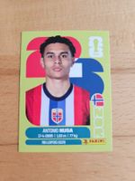Panini WM 2026 NOR 19