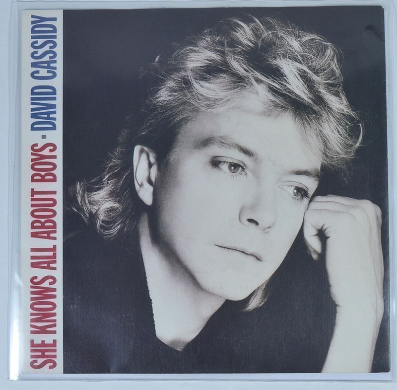 Dischi in vinile: Single: DAVID CASSIDY - She Knows All About Boys – Nuovo (secondo la descrizione) da Frenkendorf venduto da Yard-Sale-2000