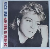 Single: DAVID CASSIDY - She Knows All About Boys