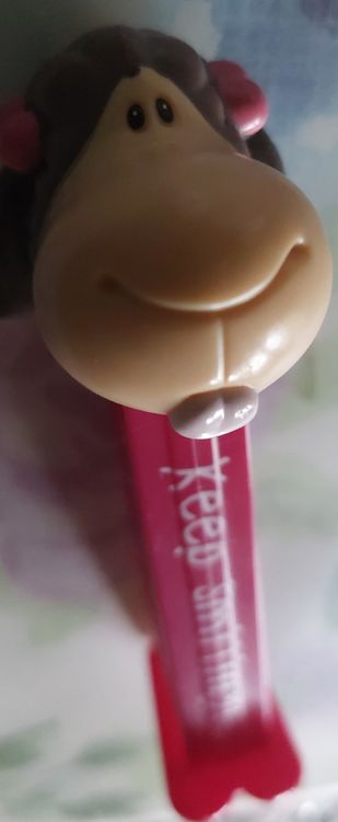 PEZ Nachfüller (Gebraucht) in Unterseen für CHF 2 – mit Lieferung auf ...