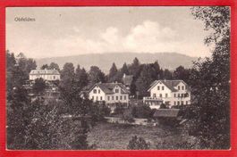 OBFELDEN, LICHTDRUCK