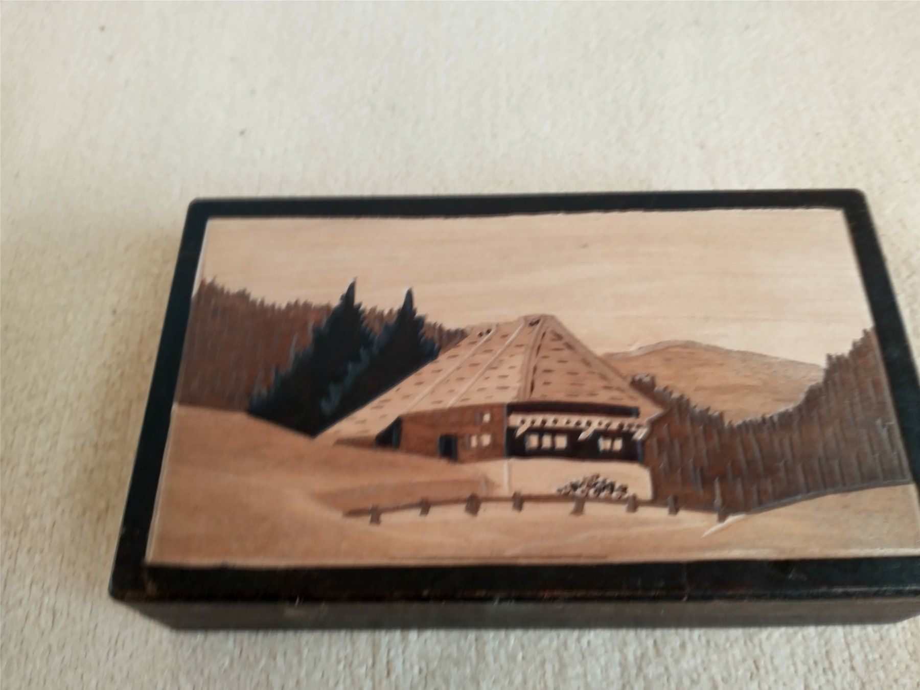 Portagioie: Holzkassette/Schatulle, Bergchalet – Usato da Löhningen venduto da Chimae67 3