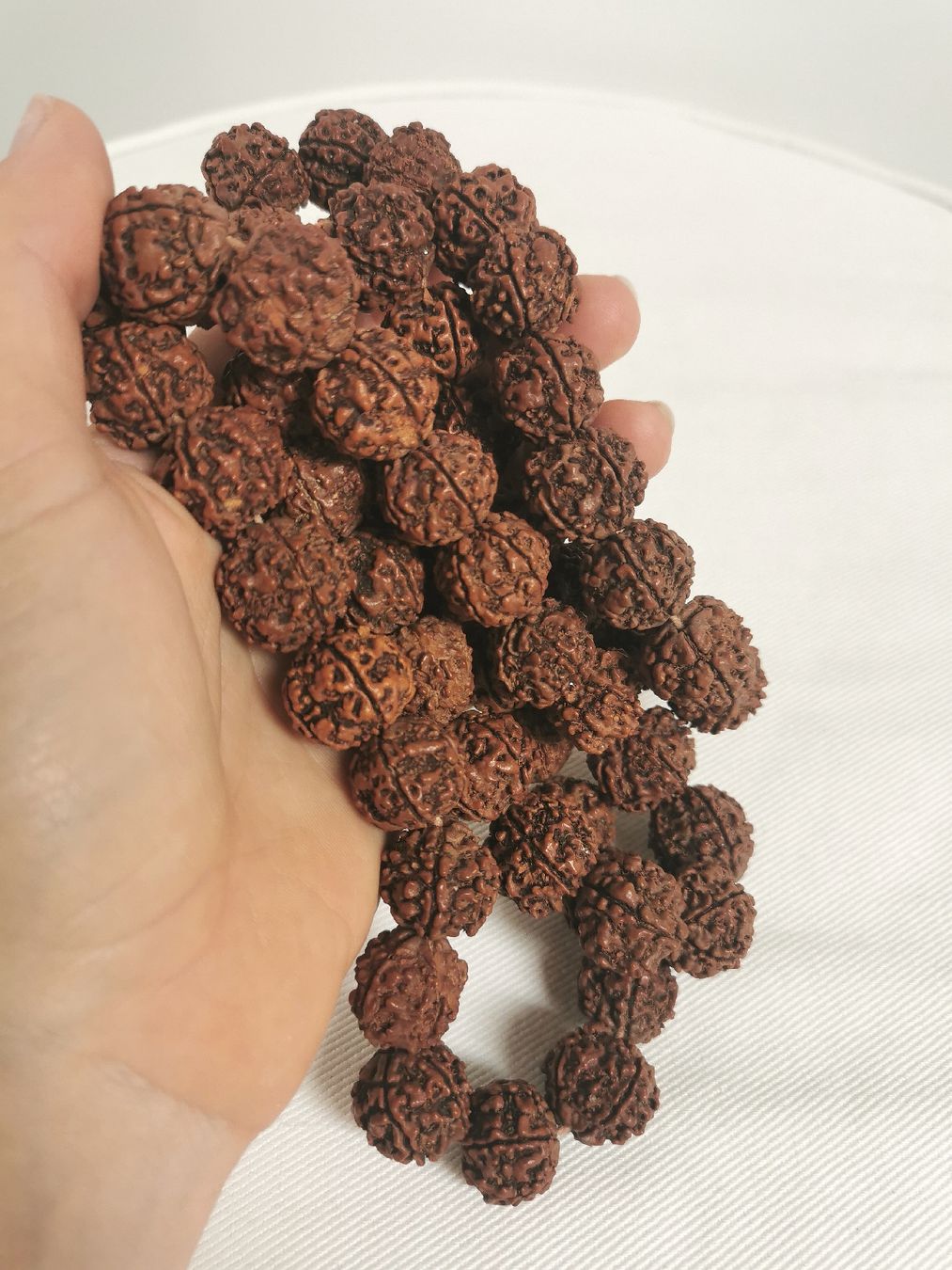 Catenine: Original Rudraksha Meditationskette – Usato da Obergerlafingen venduto da Sigus 2