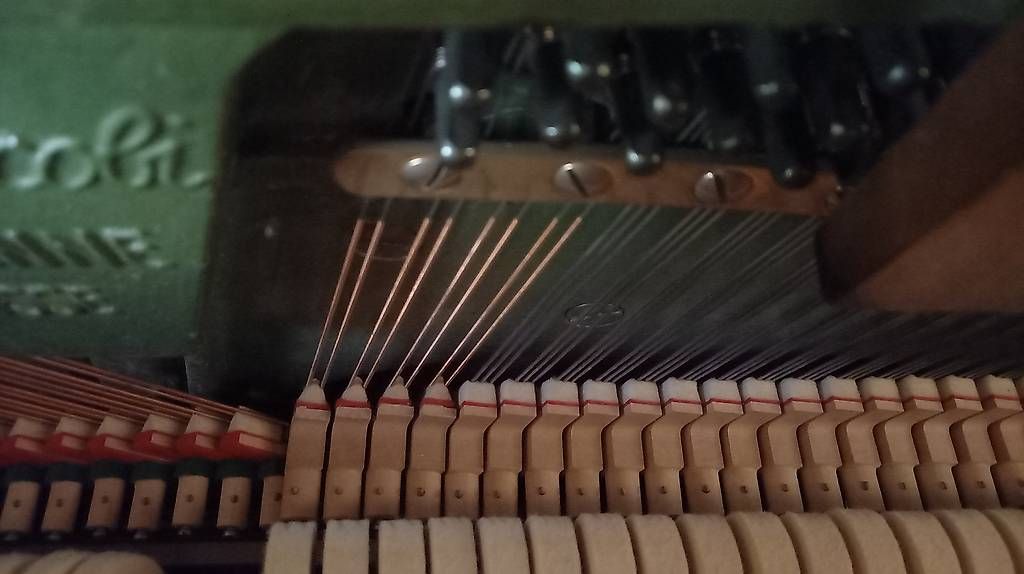 Strumenti musicali: Pianoforte Burger & Jacobi, dentro nuovo – Usato da Bellinzona venduto da rib_rzh6 4