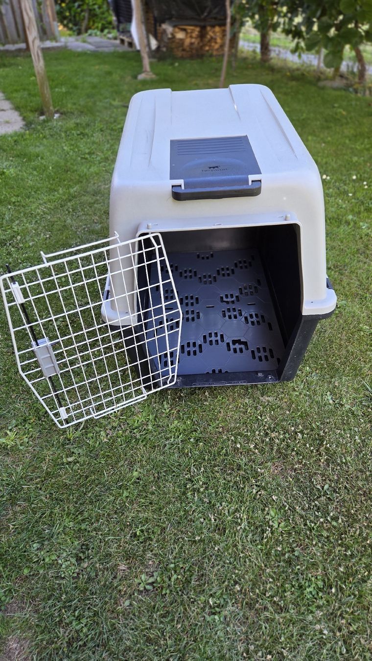 Ferplast Gabbie, trasporto & Sicurezza: Hunde Transportbox Ferplast Grösse 4 / L 91cm – Usato da Kesswil venduto da Penepoles 7
