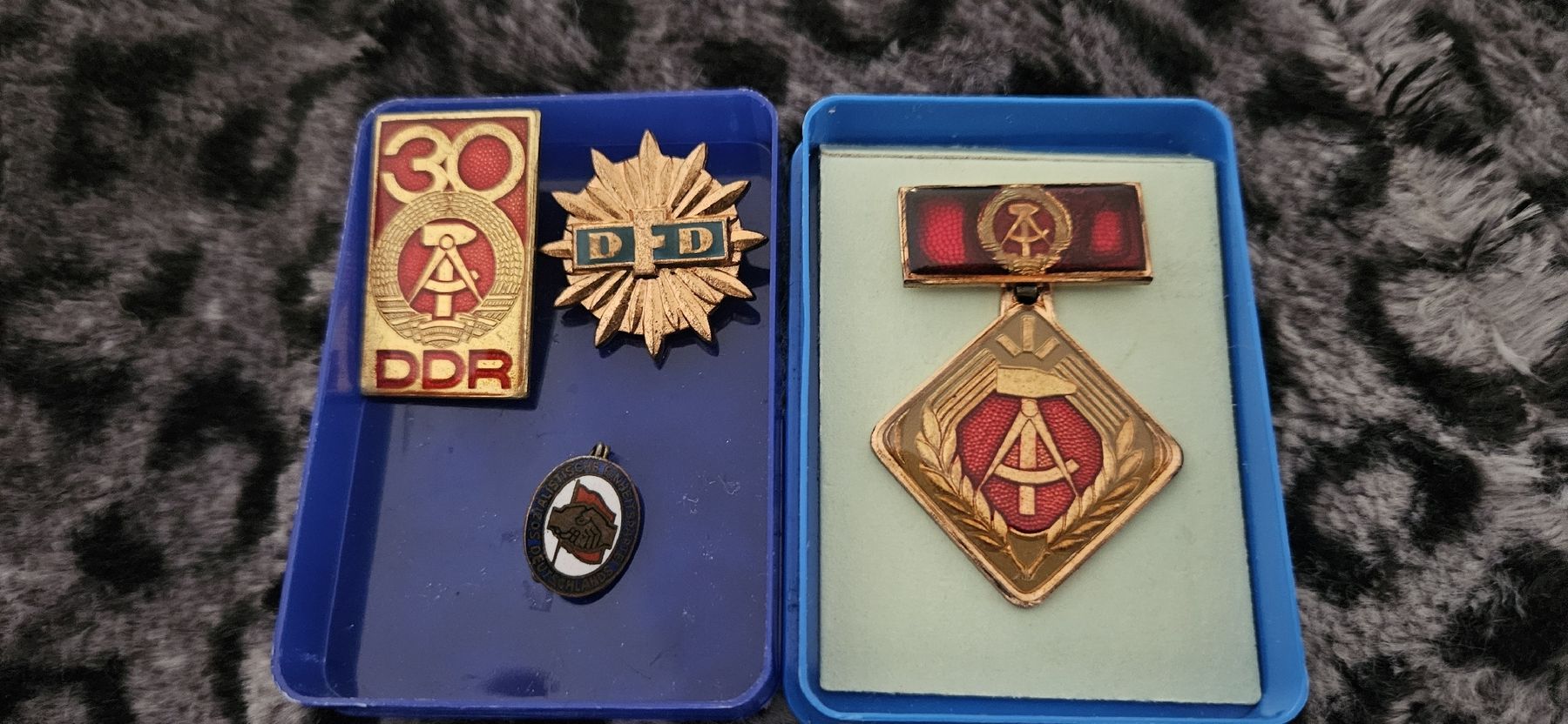 Medaglie: DDR Abzeichen Sammlung – Usato da Hägendorf venduto da Poisonapple