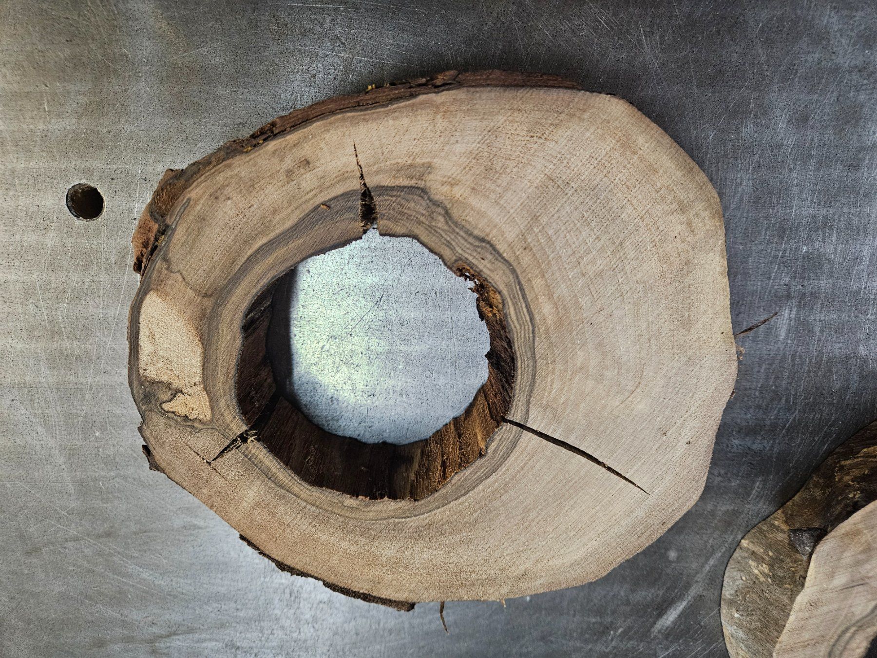Articoli in legno: Nussabum Holz Baumscheiben – Nuovo (secondo la descrizione) da Schangnau venduto da egli6.2 3