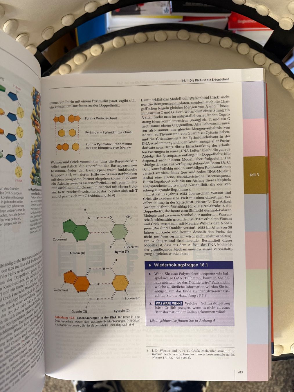 Libri: Campbell Biologie – Usato da Dietikon venduto da Buchantiqdietikon 4