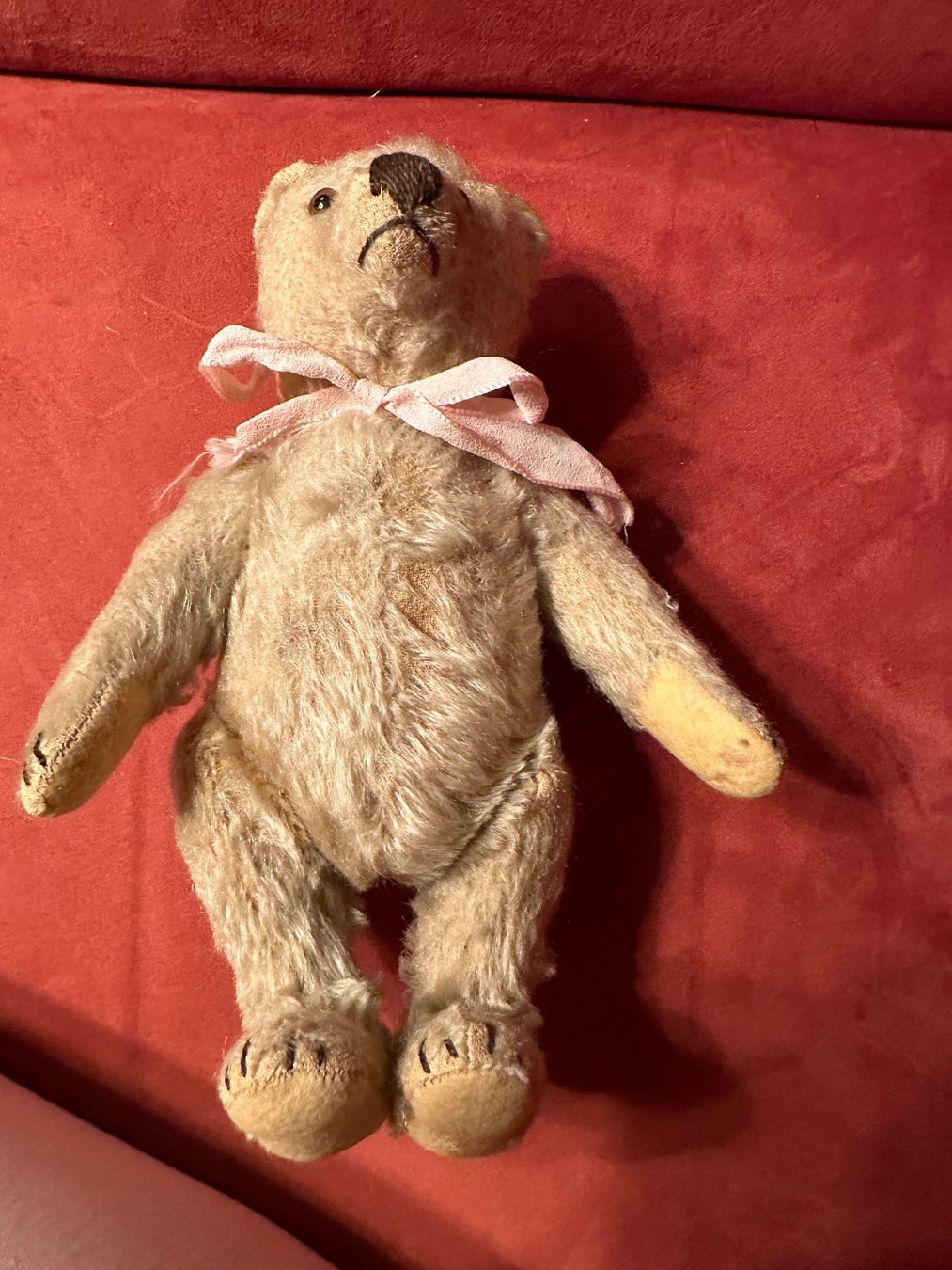 Steiff Giocattoli: Vintage Steiff Teddy – Usato da Herbriggen venduto da Sehrazade 1