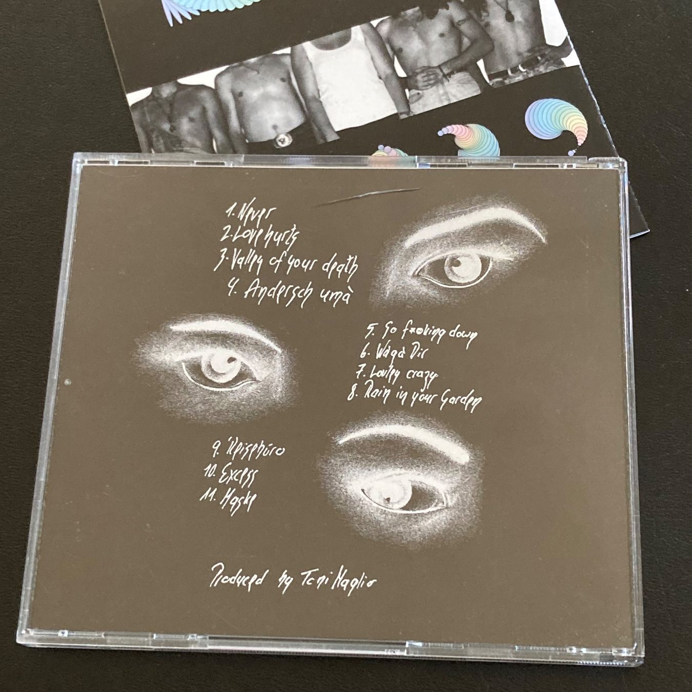 CD: King Daisy - Never | Swiss Alternative Rock – Nuovo (secondo la descrizione) da Bern venduto da Ntsamina 1