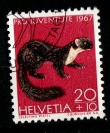 Tutti i francobolli: 1967 - PJ / Einheimische  Wildtiere / Edelmarder – Usato da Schaffhausen venduto da poststamp