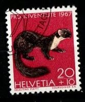 1967 - PJ / Einheimische  Wildtiere / Edelmarder