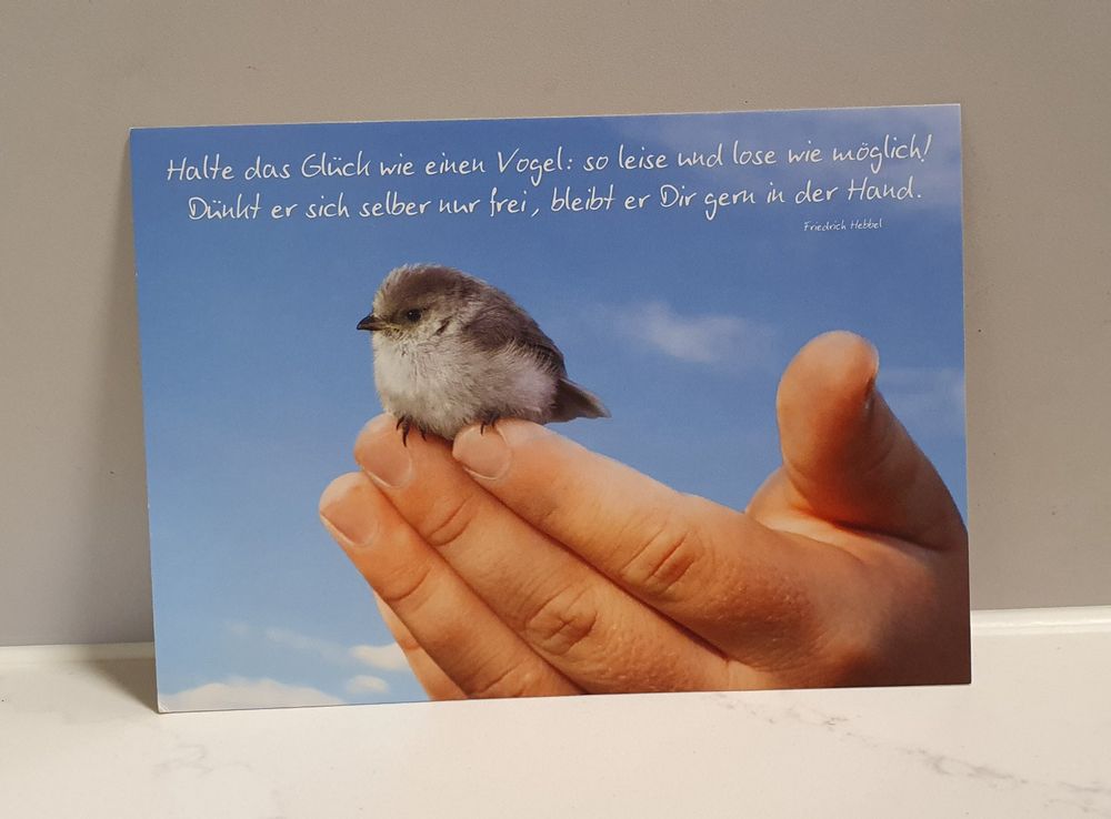 Spruch Postkarte zum Thema Glück Kaufen auf Ricardo